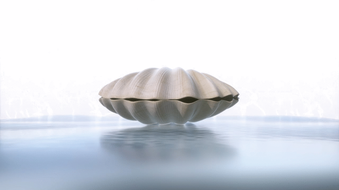 Die Perle der Pflege - Teaser 1