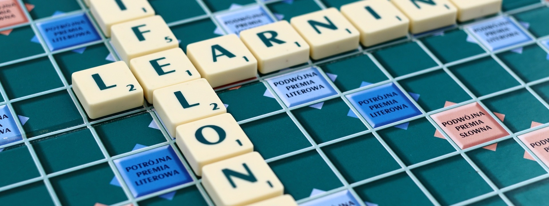 Train the Trainer Grundlagen